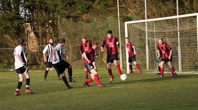 岁的天才正 岁的天才正