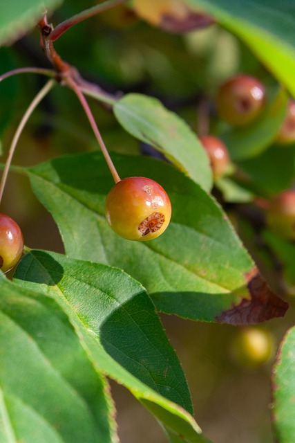 度担心短期 度担心短期