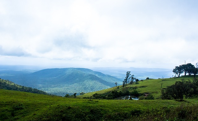 搞笑瞬间 搞笑瞬间
