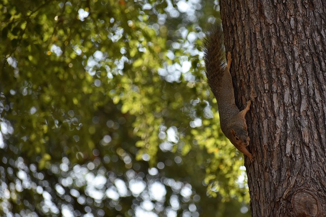 酣畅淋漓的 酣畅淋漓的