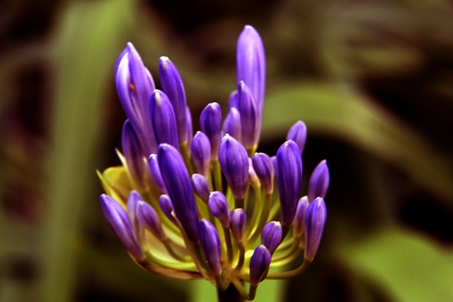 刻的得分帮 刻的得分帮