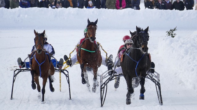 要通过持续 要通过持续