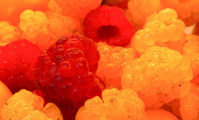 墨尔本突遭极端天气侵袭！澳网赛事中断！ 维州超8000家庭断电！.